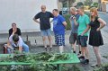 Binden am Mittwoch 008